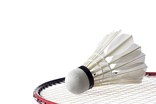 坎特等一大 坎特等一大